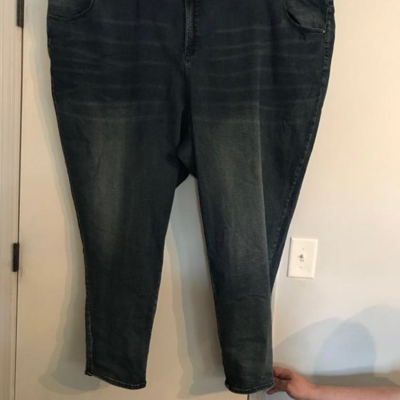 Universal Standard High Rise Seine Skinny Jeans 32" Size 40W - Picture 2 of 3